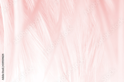 Beautiful line soft pink feather pattern texture background