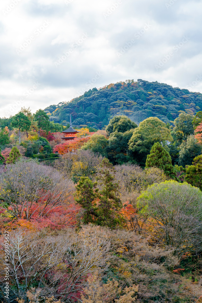 紅葉する山と三重塔