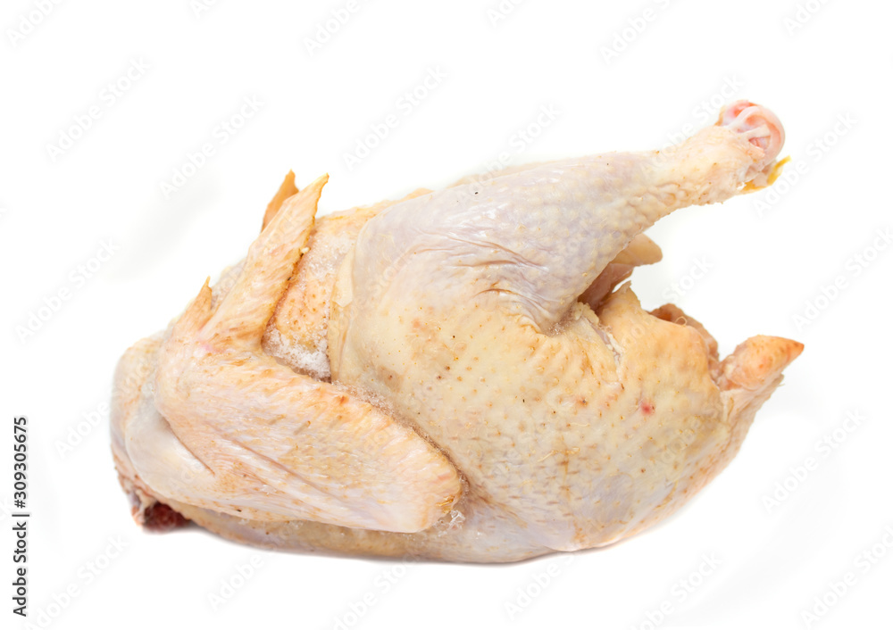 Turkey a chicken carcass on a white background. Turkey a chicken carcass on a white background.