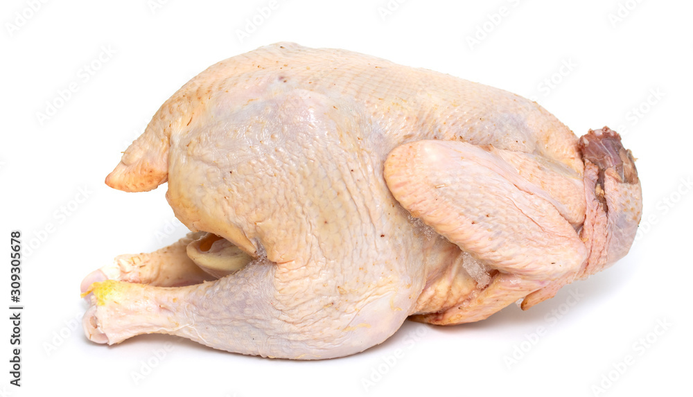 Turkey a chicken carcass on a white background.