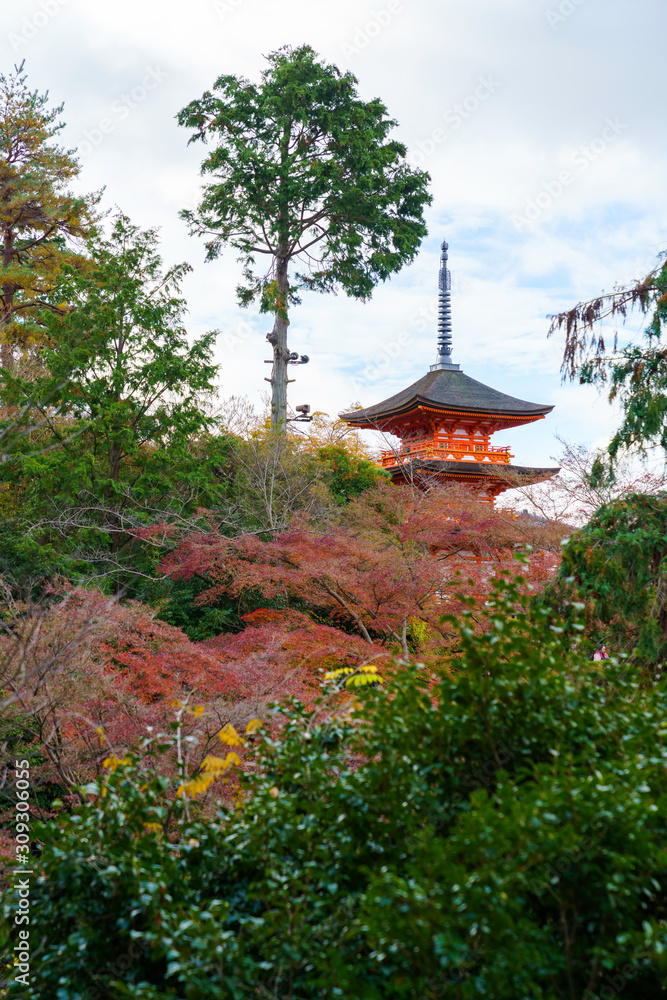 紅葉する山と三重塔