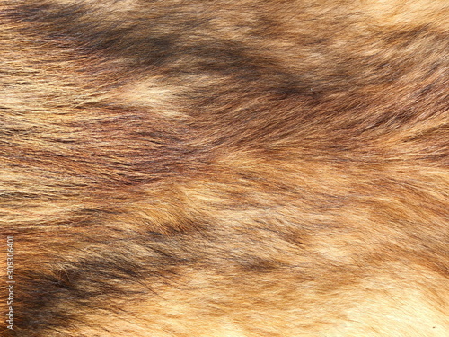 Brown hair fur for background or texture