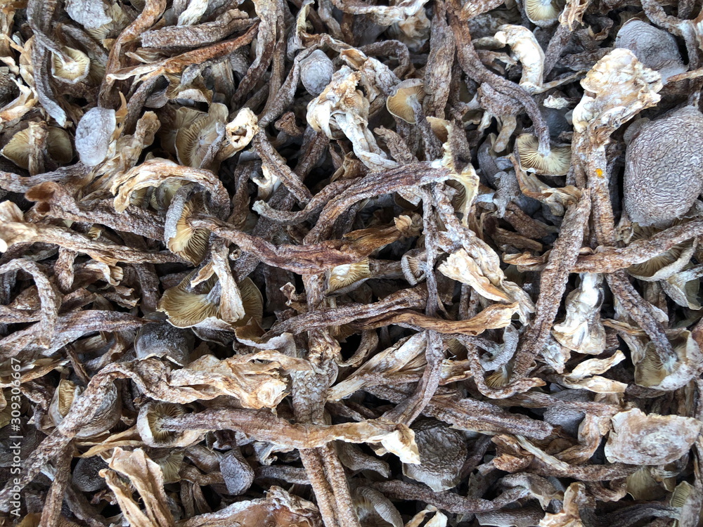 Dried boletus mushrooms for sale on the market