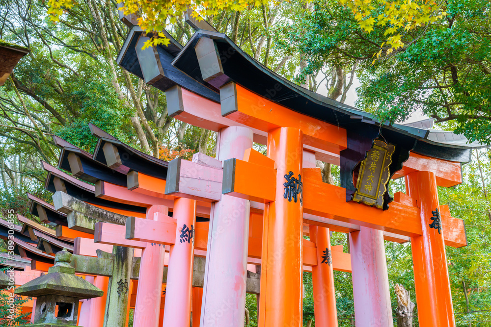 神社の鳥居