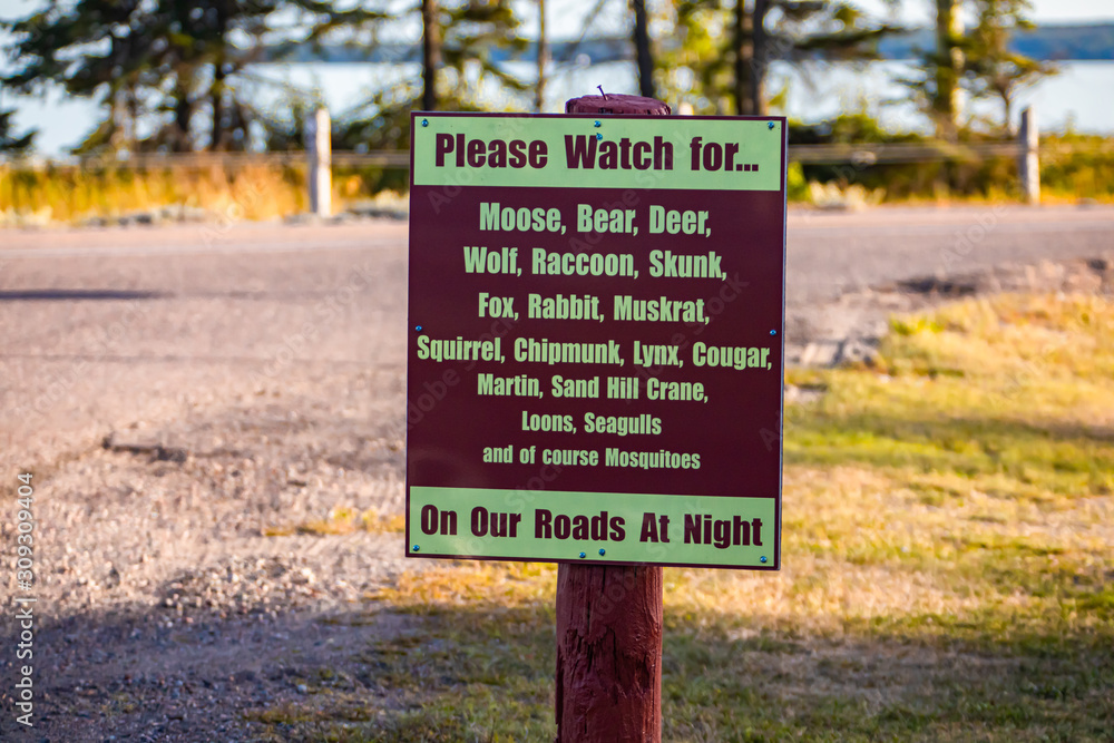 selective focus on an information road sign, a warning signs of wildlife animals crossing the roads at night, Canadian rural country roads