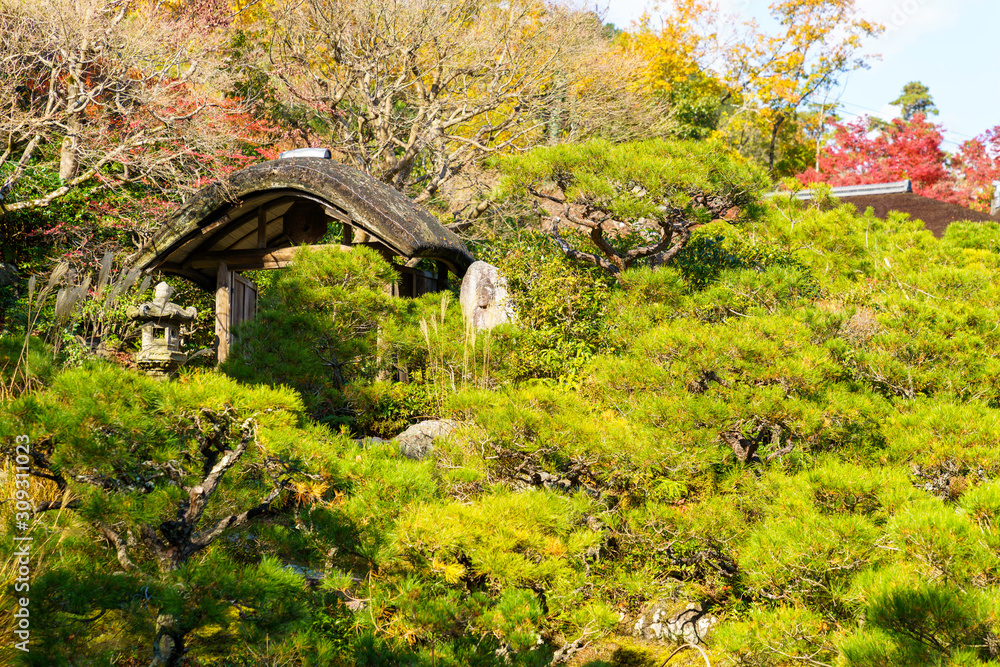 庭園の風景
