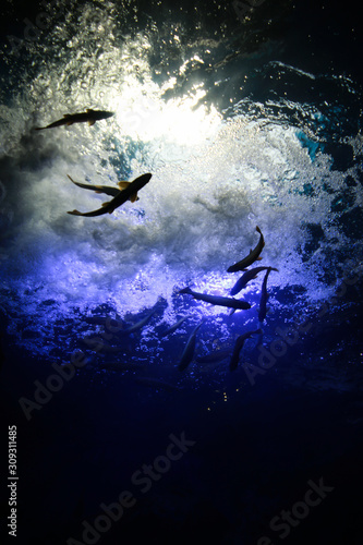 witch flying in the sky