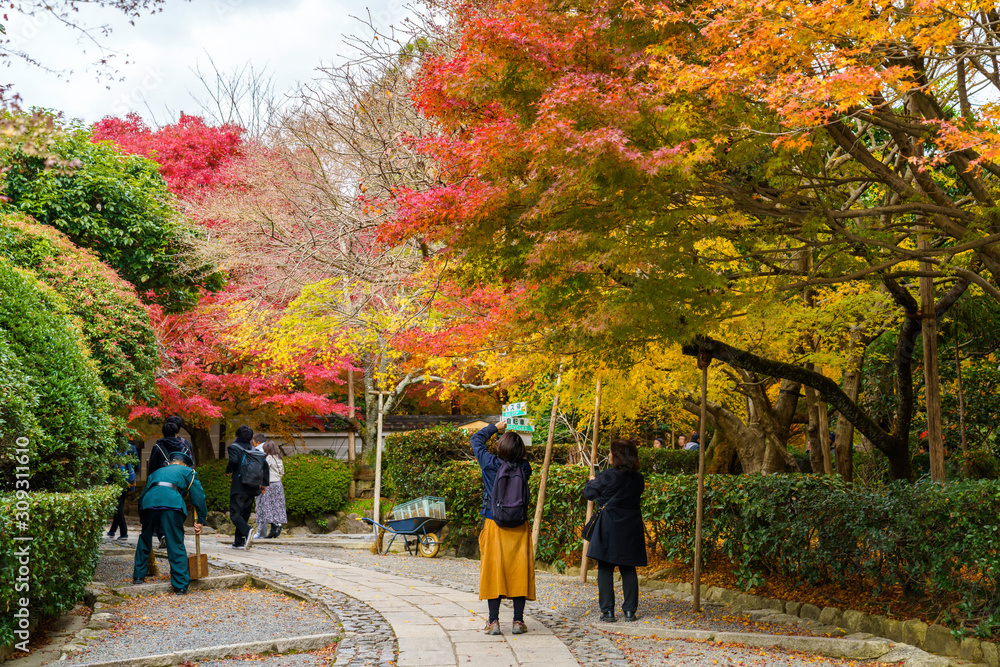 寺と紅葉と観光客