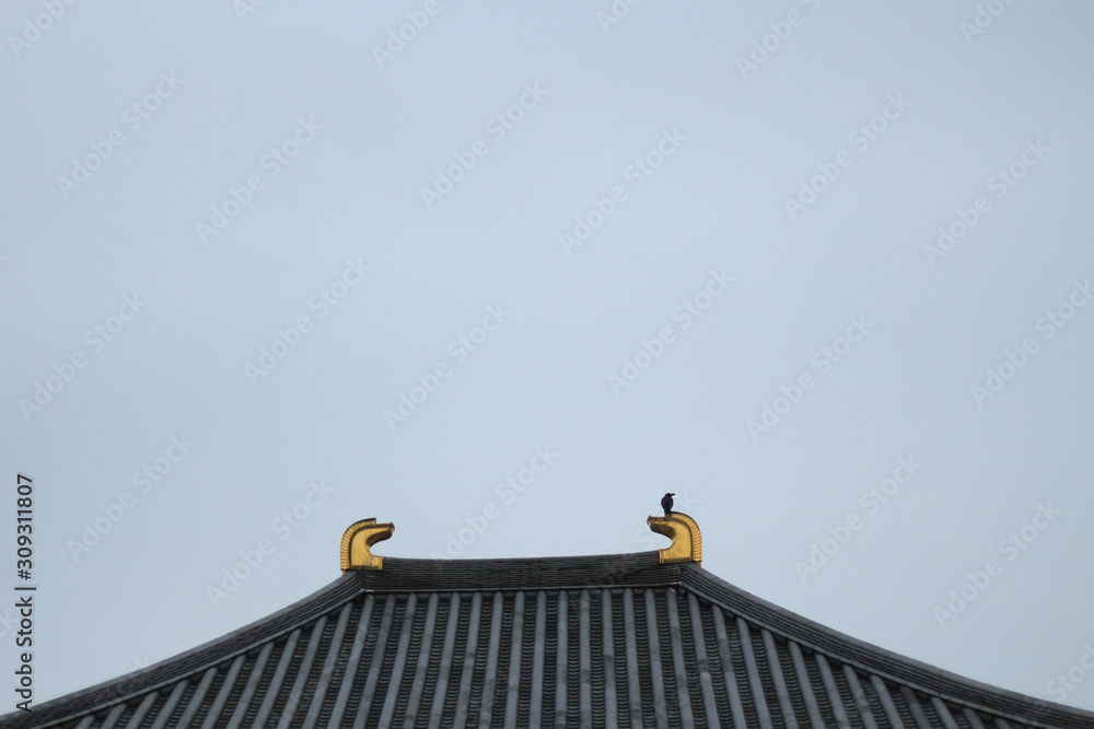 roof of house