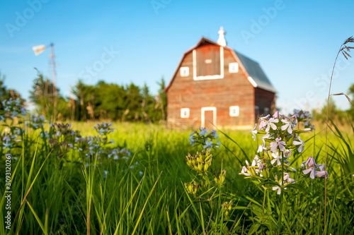 A Red barn on green grass in summer © sjredwin1