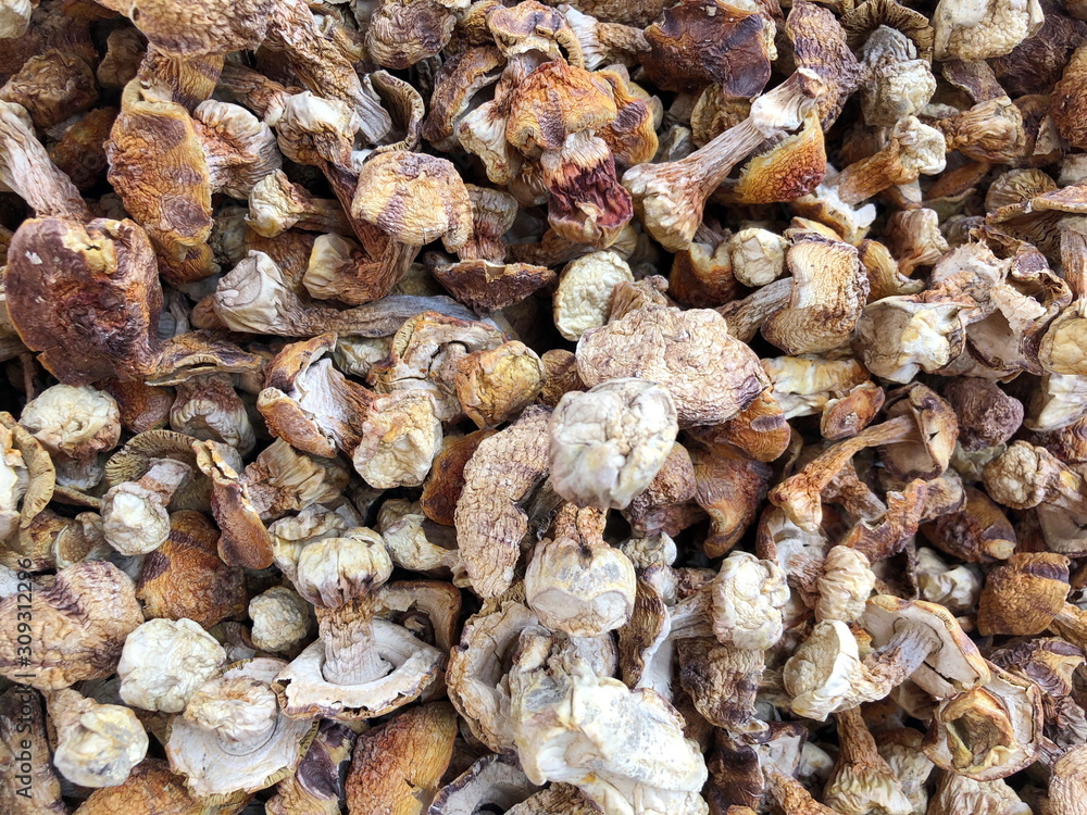 Fototapeta premium Dried boletus mushrooms for sale on the market