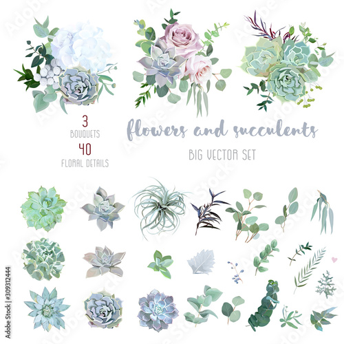 Echeveria, tillandsia blue, grey, mint succulents, white hydrangea, pale pink rose