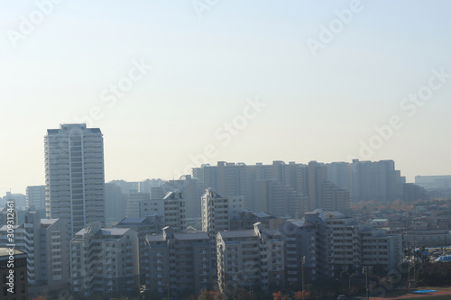 skyscrapers in the city