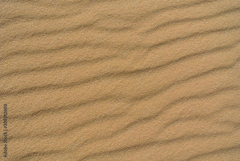Fototapeta premium Sand dune Background