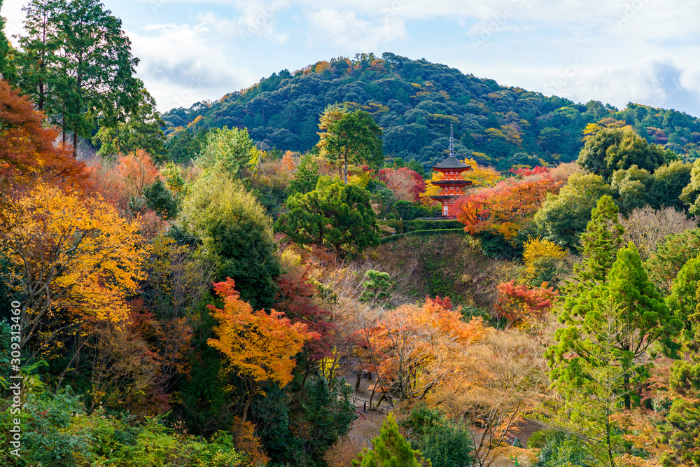 紅葉する山と三重塔