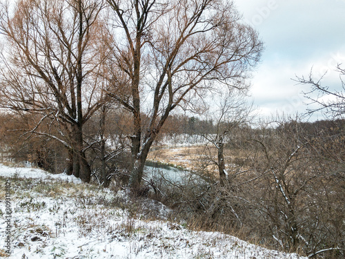 winter landscape with frozen bare trees on the bank of river against cloudy sky