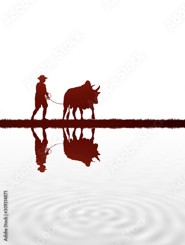 silhouette man with a cow walks on white background