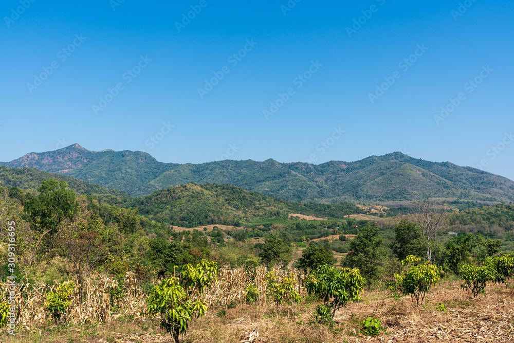 beautiful blue sky high peak mountains mist fog wildlife green forest at Phu Khao Hin Pakarang, Khao Koh, Phetchabun, Thailand. guiding idea long weekend for backpacker camping hiking beautiful blue sky high peak mountains mist fog wildlife green forest at Phu Khao Hin Pakarang, Khao Koh, Phetchabun, Thailand. guiding idea long weekend for backpacker camping hiking