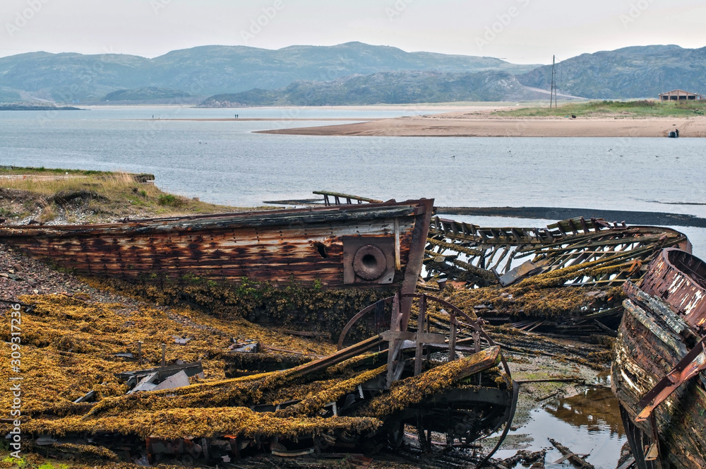 Cemetery of old ships on the shore of the Barents Sea at low tide - the wrecks of ships, water and algae Cemetery of old ships on the shore of the Barents Sea at low tide - the wrecks of ships, water and algae
