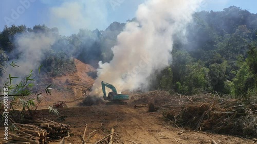 Burning rainforest. Deforestation environmental problem