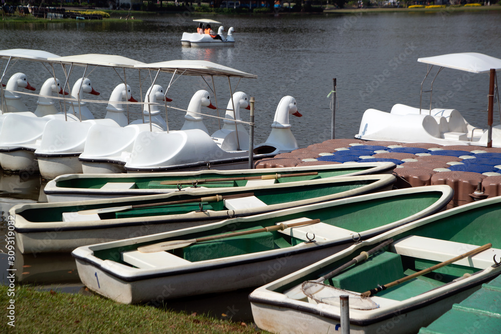 custom made wallpaper toronto digitalOutdoor green rowboat and white swan boats Style for relaxation on the lake in the a park..