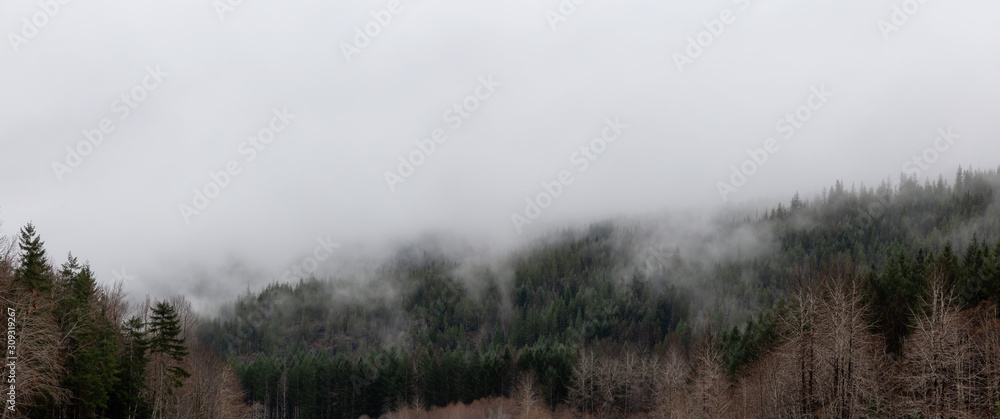 Beautiful Panoramic View of Canadian Nature Landscape during a cloudy day. Taken between Tofino and Port Alberni, Vancouver Island, British Columbia, Canada. Beautiful Panoramic View of Canadian Nature Landscape during a cloudy day. Taken between Tofino and Port Alberni, Vancouver Island, British Columbia, Canada.