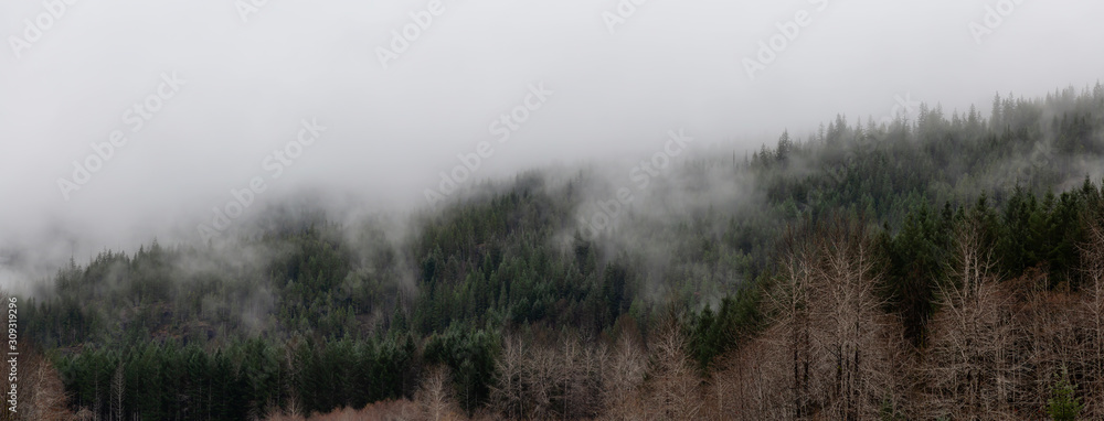 Beautiful Panoramic View of Canadian Nature Landscape during a cloudy day. Taken between Tofino and Port Alberni, Vancouver Island, British Columbia, Canada.