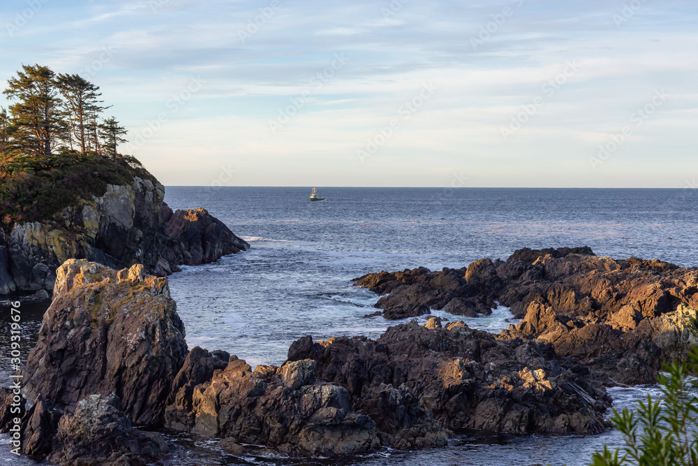 Wild Pacifc Trail, Ucluelet, Vancouver Island, BC, Canada. Beautiful View of the Rocky Ocean Coast during a colorful and vibrant morning sunrise.