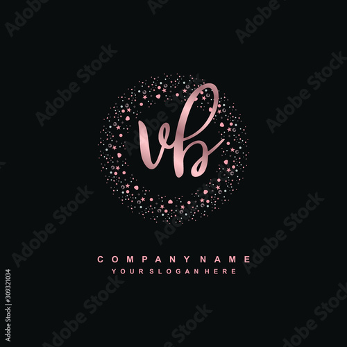 VB Beauty vector initial logo, handwriting logo of initial signature, wedding, fashion, jewerly, boutique, floral and botanical with creative template for any company or business