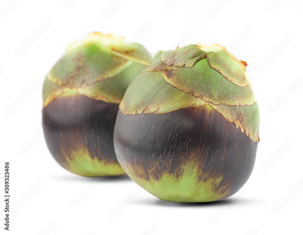 Asian Palmyra palm, fruit an isolated on white background Asian Palmyra palm, fruit an isolated on white background