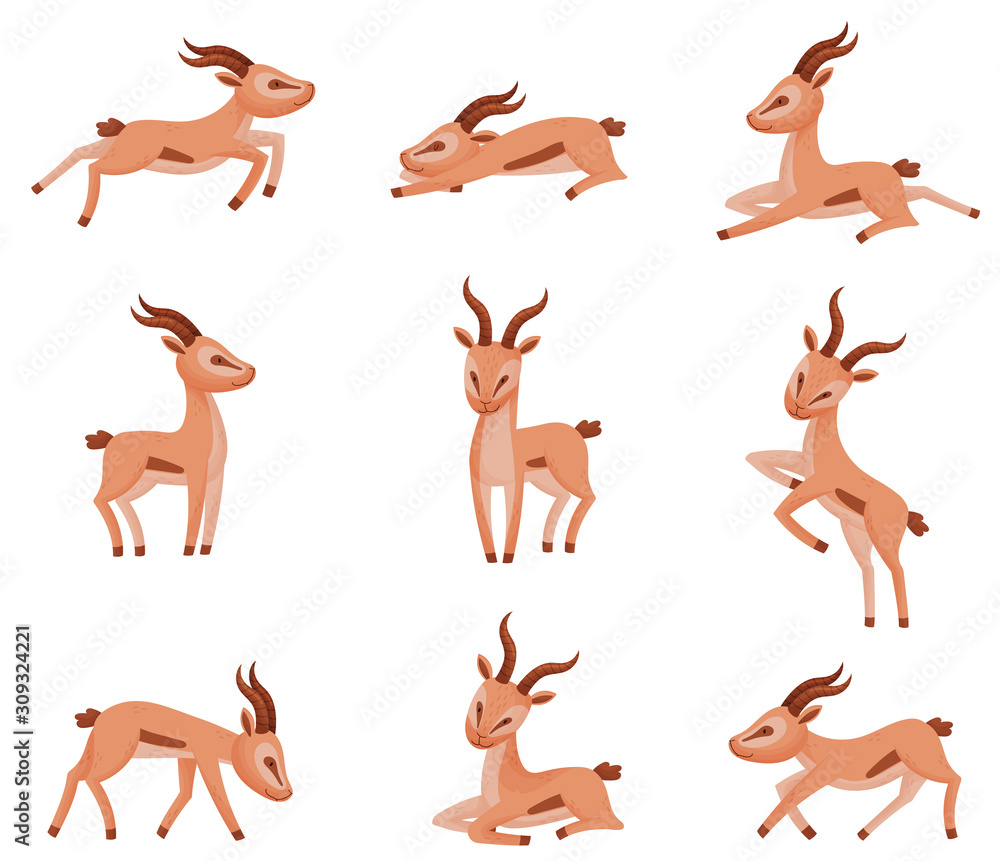 African Wild Brown-tailed Gazelle with Horns Vector Set