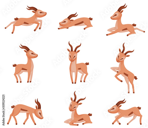 Wallpaper Mural African Wild Brown-tailed Gazelle with Horns Vector Set Torontodigital.ca