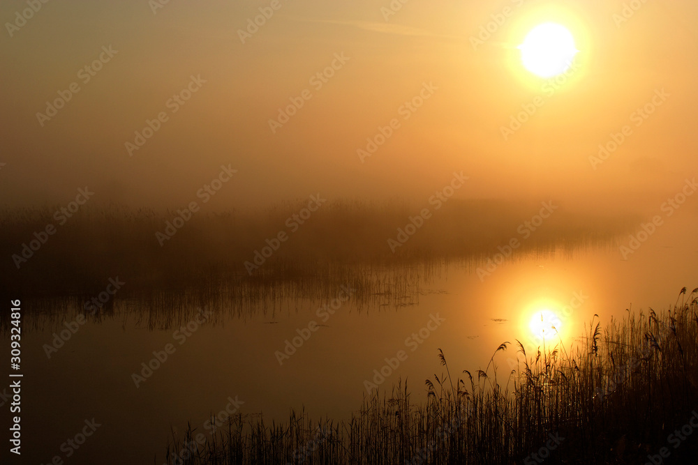Sunrise on the oxbow lake of the Drava River, Croatia
