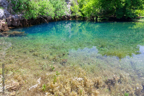 The   ikola River source in the karst plain  Croatia