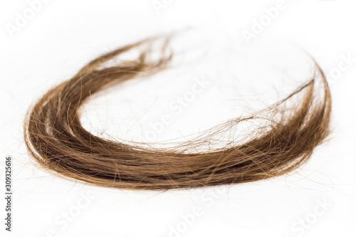 hair cut off on the floor isolate on white background.