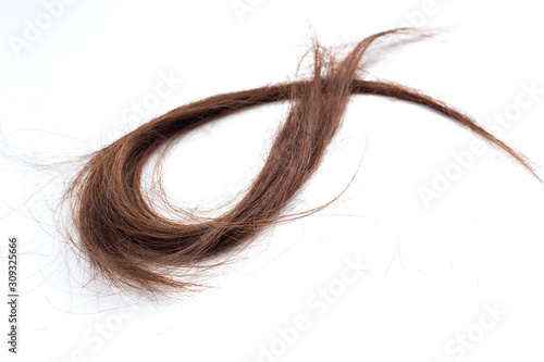 Slika na platnu hair cut off on the floor isolate on white background.