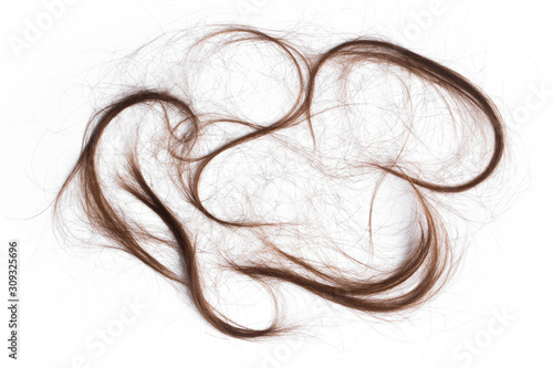 hair cut off on the floor isolate on white background.