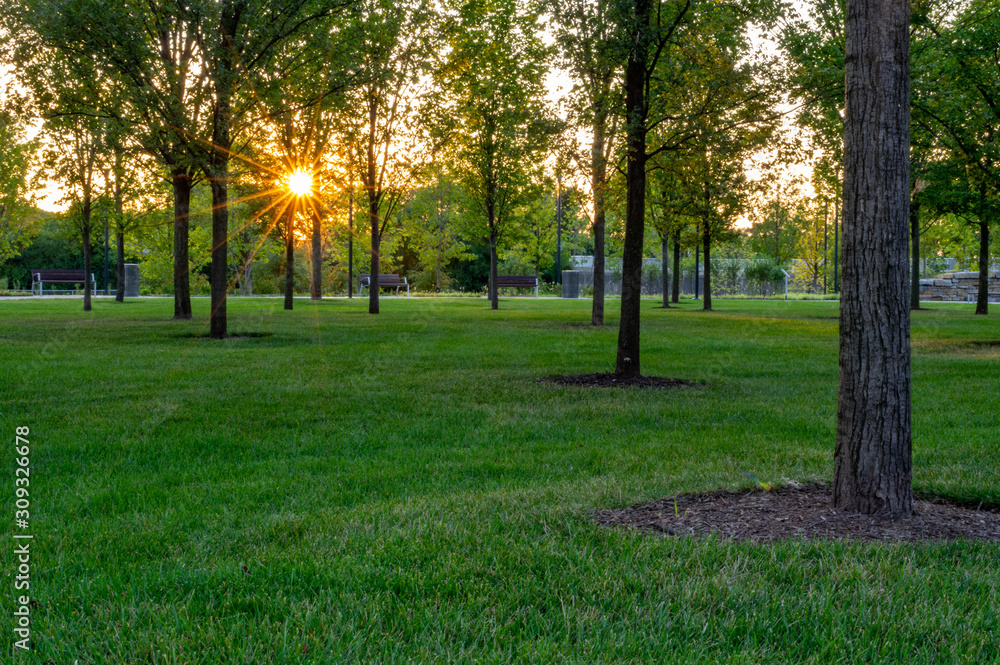 Obraz premium Evening in the City Park