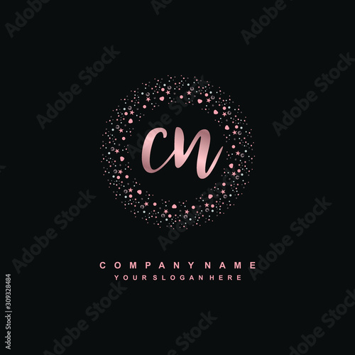 CN Beauty vector initial logo, handwriting logo of initial signature, wedding, fashion, jewerly, boutique, floral and botanical with creative template for any company or business