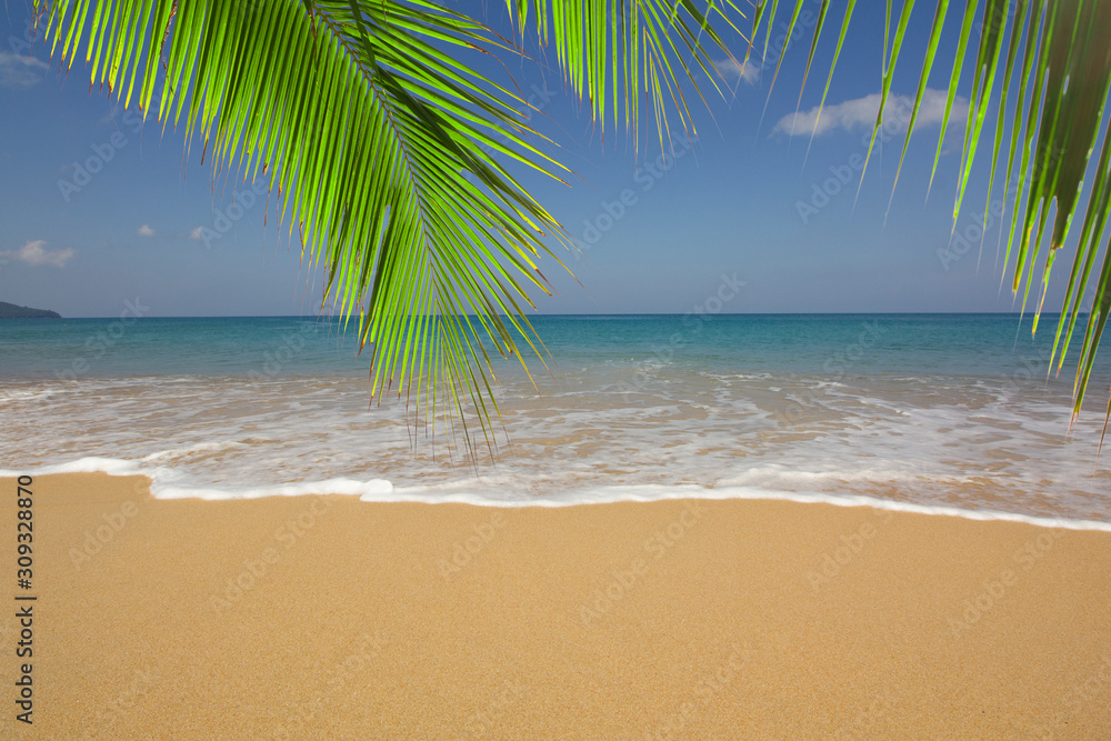 Tropical beach with palm leaves and sea and sky