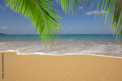 Fototapeta Naklejka Na Ścianę i Meble -  Tropical beach with palm leaves and sea and sky