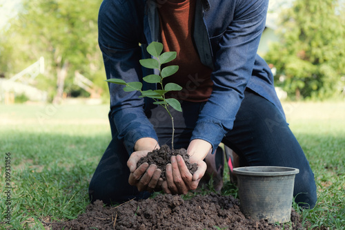 The young man is planting tree to preserve environment photo