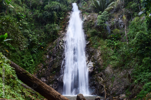 waterfall in forest