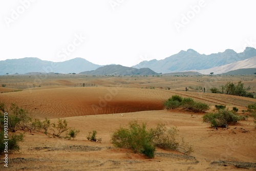 rural landscape in the desert with sand dunes and mountain peaks