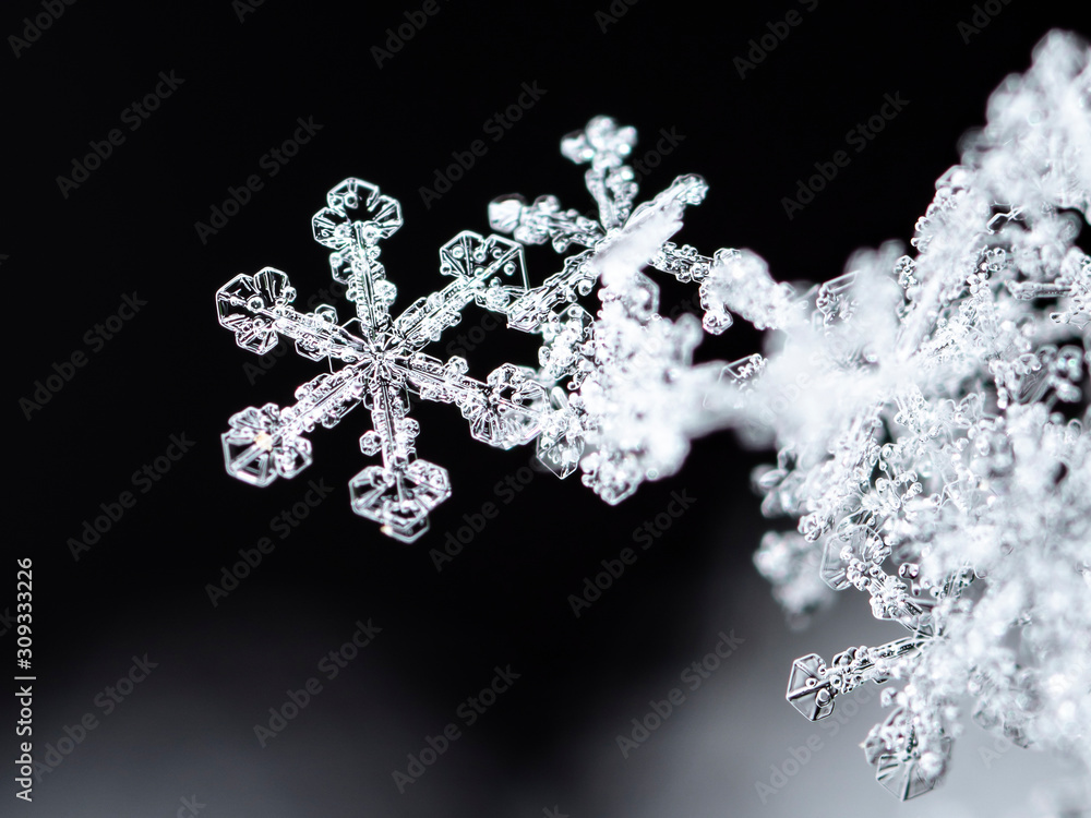 winter card, crystals of snow, winter photo winter card, crystals of snow, winter photo
