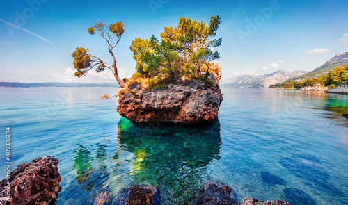 Fototapeta Naklejka Na Ścianę i Meble -  Brela stone is a popular touris destination on the west Croatian coast. Picturesque summer seascape of Adriatic sea, Dalmatian coast, Croatia, Europe. Beautiful world of Mediterranean countries.