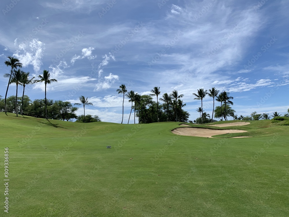 Obraz premium ワイレアＧＣ エメラルドＣ （マウイ島）