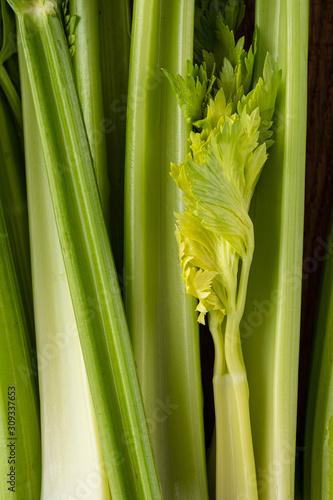 Celery. Leaves and stem of fresh organic green celery close up. Healthy eating  vegetarian food  diet  dieting concept.