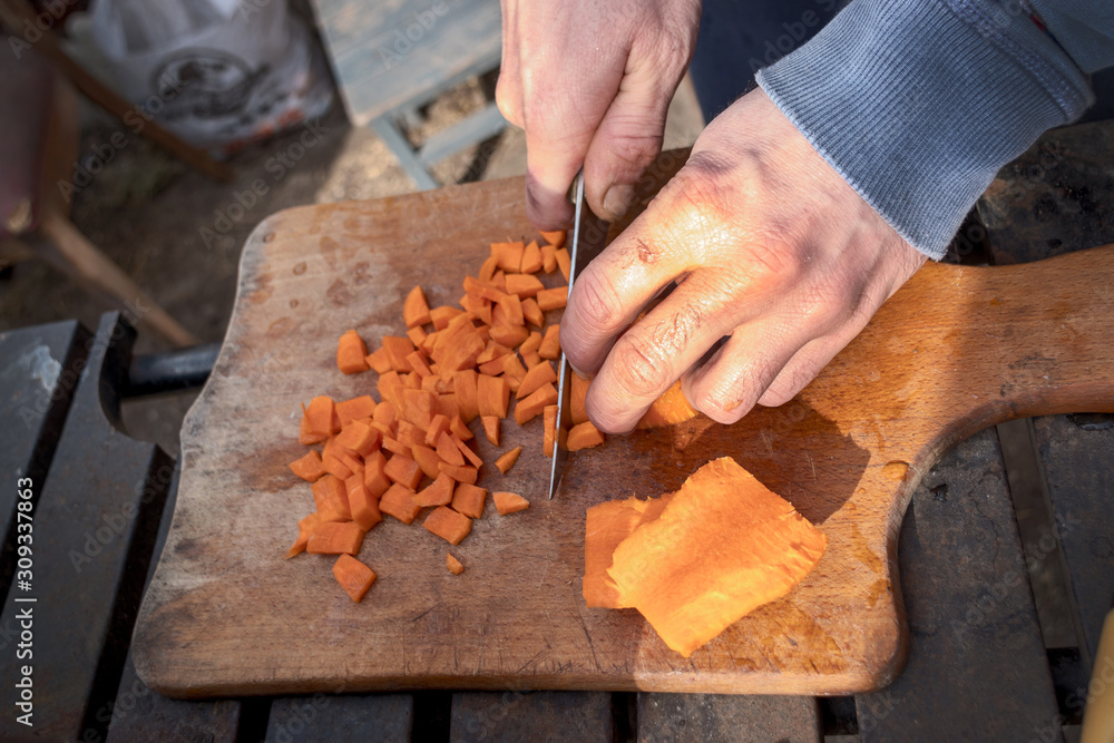Close up, male hands cut a carrot with a knife, cooking, picnic