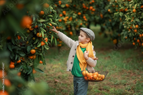 A boy in a garden with fruit trees in a hat and a yellow scarf on his chest.
